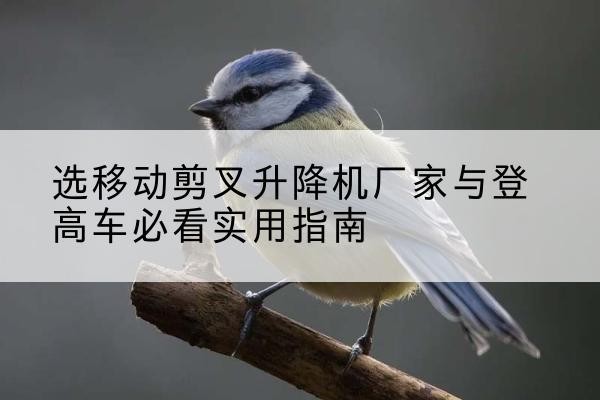 开州区电动升降机厂家-选移动剪叉升降机厂家与登高车必看实用指南