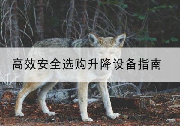 开州区升降货梯厂家推荐-*安全选购升降设备指南